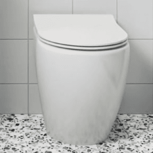 Floor Standing Toilet